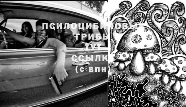 ешки Наволоки