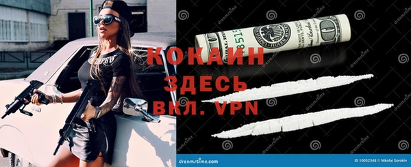 прущие крисы Надым
