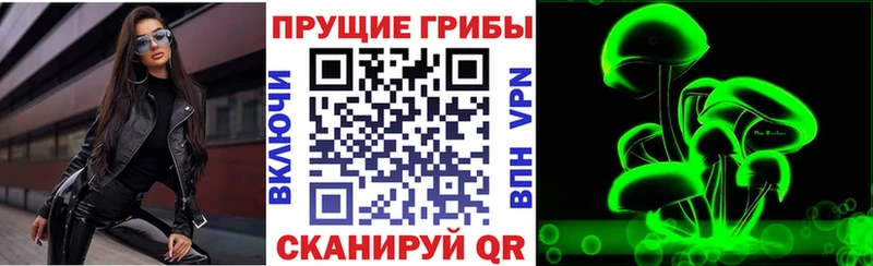 Галлюциногенные грибы MAGIC MUSHROOMS  где купить наркоту  Касли 