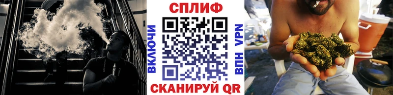 Конопля гибрид  Касли 
